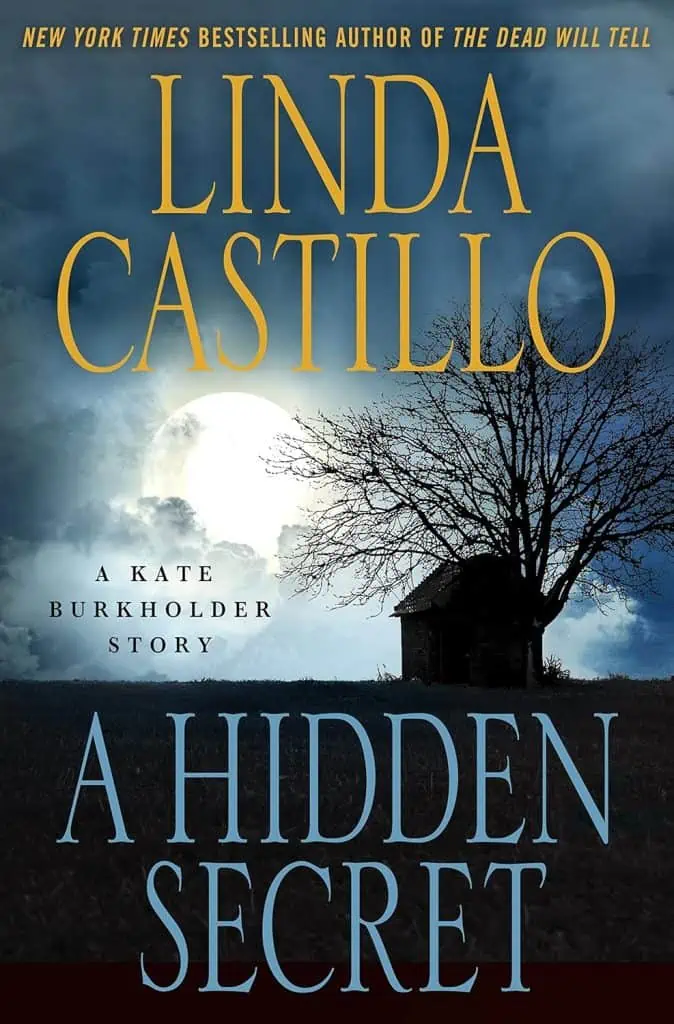 A Hidden Secret: A Kate Burkholder Short Story