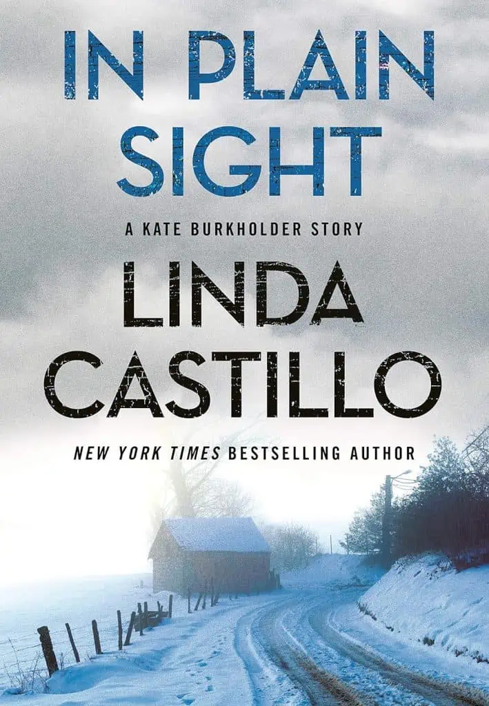 In Plain Sight: A Kate Burkholder Short Mystery